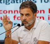 Rahul Gnadhi responds to Elon Musk tweet on EVMs security
