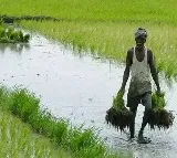 New Proposal From Agriculture Officers To loan waiver In Telangana