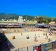 TTD will issue tickets from tomorrow onwards