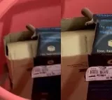 Bengaluru couple finds cobra in Amazon package