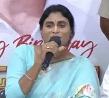 YS Sharmila reveals why she lost in Kadapa
