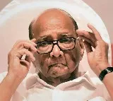 Congress to decide on LoP in Lok Sabha Sharad Pawar