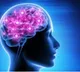 Drugs that treat HIV, AIDS trialled in people with brain tumour