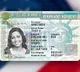 Trump promises Green Cards to foreign students on graduation