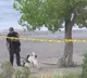 2 killed in shooting at state park in Colorado