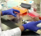 Researchers use diabetes medication as effective drug therapy for
 sleep-related disorder