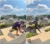 Two thieves race And fight for same courier package CCTV footage is viral