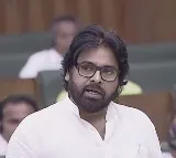 Pawan Kalyan First Speech In Assembly