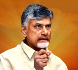 AP CM Chandrababu deeply saddened over Telugu man's killing in US shooting