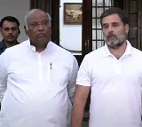 Am 'sad' but 'consoled' that Priyanka will be there to represent you, Rahul tells people of Wayanad
