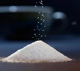 India to host 30-nation ISO Council meeting on sugar, biofuels from June 25-27