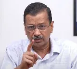 'Trial court didn’t apply its mind': Delhi HC stays CM Kejriwal's bail