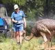 Some Interesting facts about the animal Which live on the earth