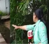 Ex Odisha Minister Raghunandan Das Let His Dogs To Chase Woman Journalist In Bhubaneswar