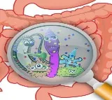 Blame a gut bacteria for your compulsive eating, obesity