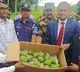 Bangladesh PM sends tasty mango, hilsa fish, 'rasgulla' to Tripura CM