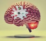 Know all about brain-eating amoeba infection that claimed two lives in Kerala