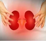 Low salt, less body fluids may help regenerate certain kidney cells: Study