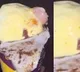 Mumbai police solved mystery behind finger found in ice cream