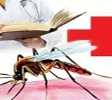 Monsoon brings surge in dengue cases: Doctors advise caution, early detection