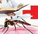 Monsoon brings surge in dengue cases: Doctors advise caution, early detection