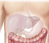 Limit ghee, coconut oil if you have fatty liver disease: Expert