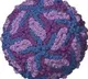 Pune Zika cases rise to 8: Centre issues advisory to states to step up vigil
