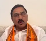 Union Minister Srinivasa Varma on Special Status