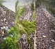 Thousands of thrilled Mumbaikars raring to accord grand welcome to Team India