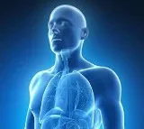 Novel method to counter chemotherapy resistance in pancreatic cancer developed