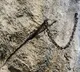 Magic Sword Stuck In Stone For Over 1300 Years Vanishes In France
