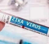 Karnataka govt asks DCs to be vigilant against Zika virus spread along with dengue