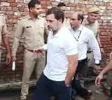 Hathras stampede: Rahul Gandhi seeks quick & substantial compensation, blames admin deficiency