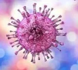 This symptomless herpes virus can harm newborns, organ transplant &
 HIV patients