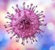 This symptomless herpes virus can harm newborns, organ transplant &
 HIV patients