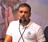 Rahul boasts about defeating BJP in Gujarat but are his claims far-fetched?