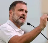 Rahul Gandhis Victories Setbacks Note To Rishi Sunak After Poll Loss