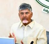 CM Chandrababu reacts on Ultratech Cement factory incident