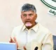 CM Chandrababu reacts on Ultratech Cement factory incident