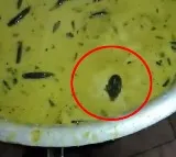 Mouse Appeared in Chutney Bowl in Sangareddy JNTU College Canteen