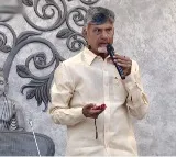 CM Chandrababu releases white paper on energy sector