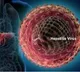 First self-test for hepatitis C virus prequalified by WHO