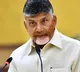 CM Chandrababu works on finance ministry white paper