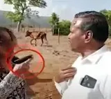 IAS-PO Pooja Khedkar’s mom intimidates Pune farmer with pistol; probe sought