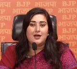 SC order on CM Kejriwal's bail, not a victory but a setback, says BJP