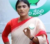 YS Sharmila fires on Jagan over YSR 75th Birth Anniversary