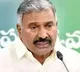Peddireddi Ramachadra Reddy followers resigns to YSRCP