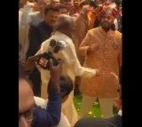 Rajinikanth dances in Anant Ambani wedding celebrations
