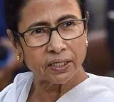 West Bengal CM Mamata Banerjee meets Sharad Pawar Uddhav Thackeray