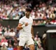 Wimbledon 2024: Djokovic seeks revenge over Alcaraz in blockbuster rematch in final